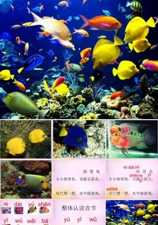 秋一年级语文上册《热带鱼》课件1 北师大版-北师大版小学一年级上册语文课件