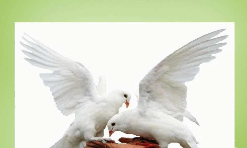 秋三年级语文上册《儿童和平条约》课件1 北师大版-北师大版小学三年级上册语文课件