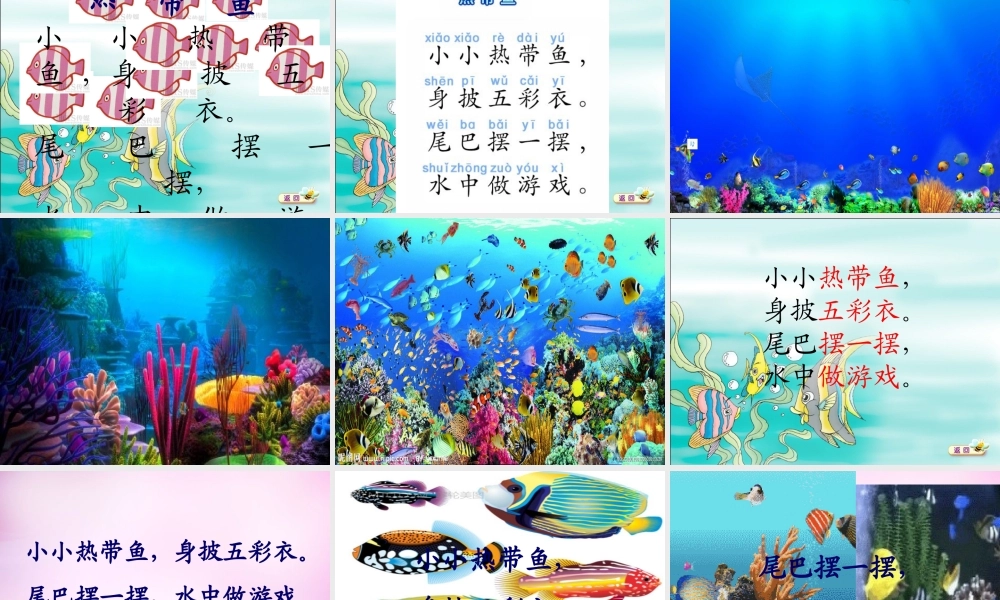 秋一年级语文上册《热带鱼》课件2 北师大版-北师大版小学一年级上册语文课件