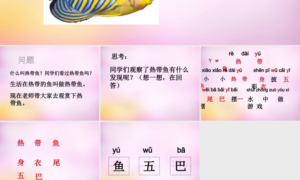 秋一年级语文上册《热带鱼》课件3 北师大版-北师大版小学一年级上册语文课件