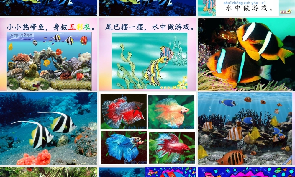 秋一年级语文上册《热带鱼》课件4 北师大版-北师大版小学一年级上册语文课件