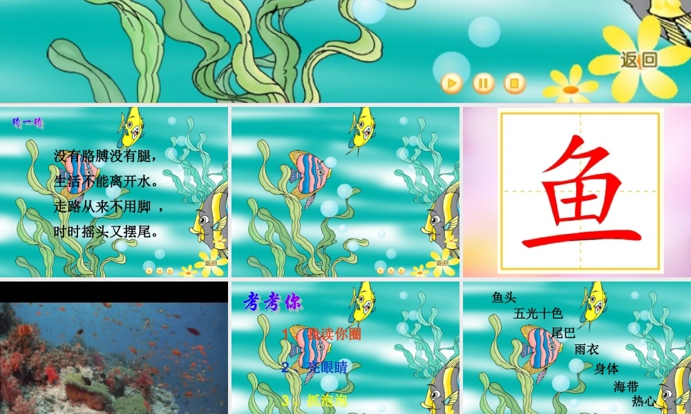 秋一年级语文上册《热带鱼》课件5 北师大版-北师大版小学一年级上册语文课件