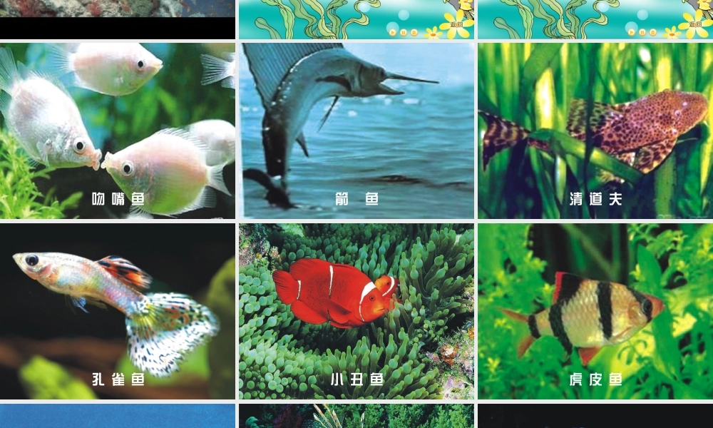 秋一年级语文上册《热带鱼》课件5 北师大版-北师大版小学一年级上册语文课件