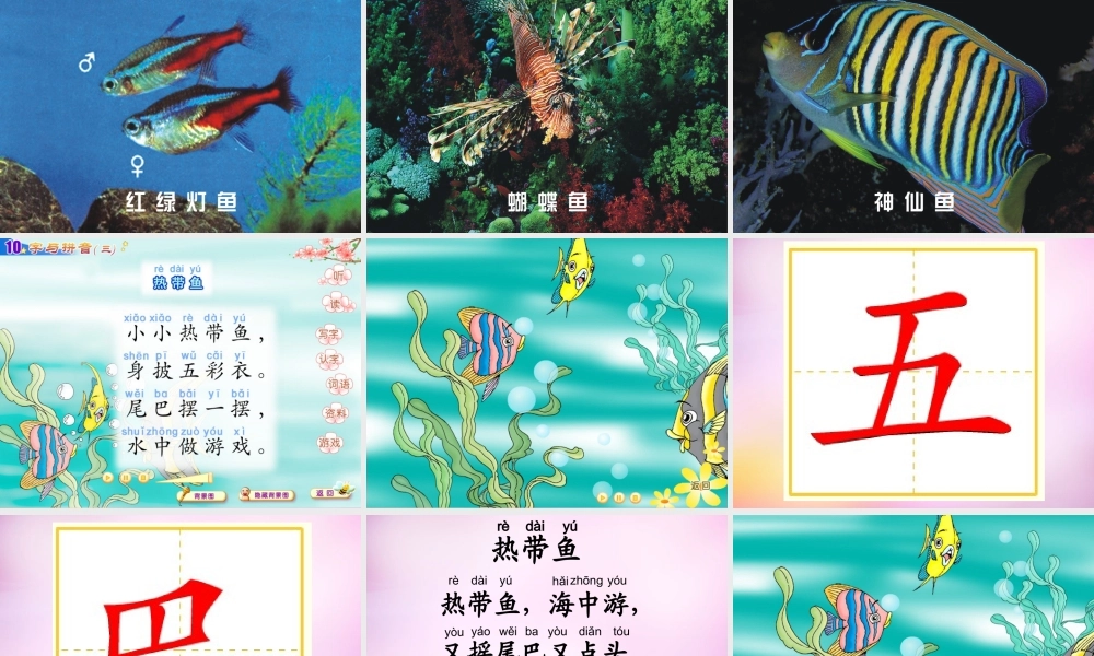 秋一年级语文上册《热带鱼》课件5 北师大版-北师大版小学一年级上册语文课件