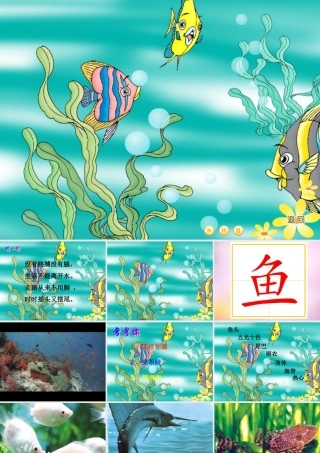 秋一年级语文上册《热带鱼》课件5 北师大版-北师大版小学一年级上册语文课件