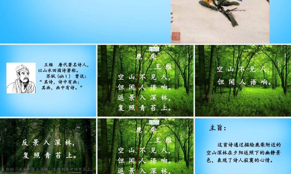 秋三年级语文上册《古诗诵读 鹿柴》课件2 沪教版-沪教版小学三年级上册语文课件