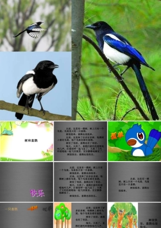 秋一年级语文上册《树和喜鹊》课件3 冀教版-冀教版小学一年级上册语文课件