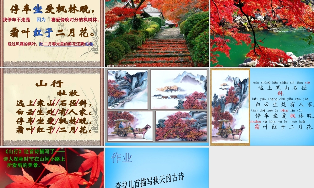 秋三年级语文上册《古诗诵读 山行》课件1 沪教版-沪教版小学三年级上册语文课件