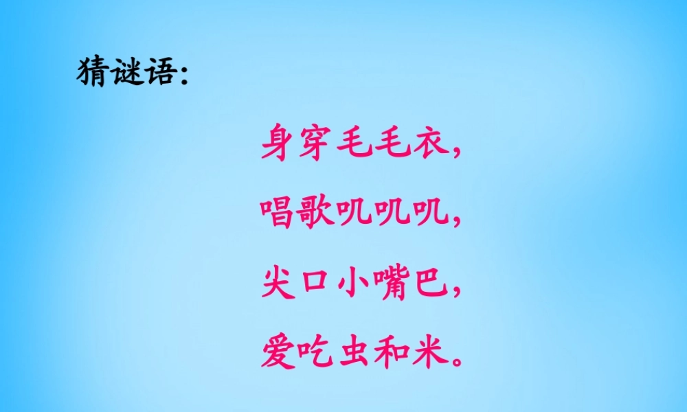 秋一年级语文上册《数小鸡》课件3 沪教版-沪教版小学一年级上册语文课件