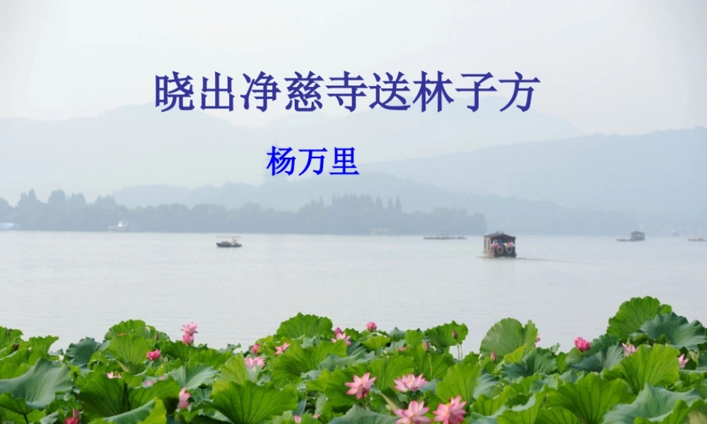 秋三年级语文上册《古诗诵读 晓出净慈寺送林子方》课件1 沪教版-沪教版小学三年级上册语文课件