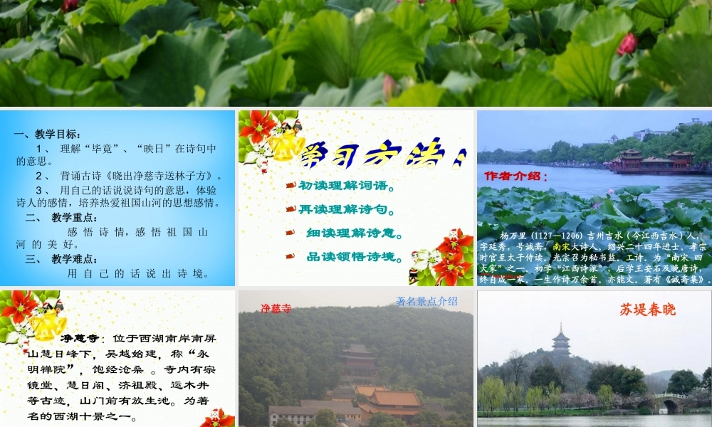 秋三年级语文上册《古诗诵读 晓出净慈寺送林子方》课件1 沪教版-沪教版小学三年级上册语文课件