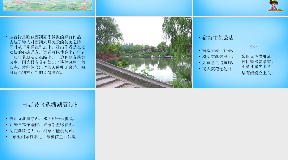 秋三年级语文上册《古诗诵读 晓出净慈寺送林子方》课件2 沪教版-沪教版小学三年级上册语文课件