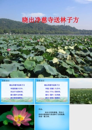 秋三年级语文上册《古诗诵读 晓出净慈寺送林子方》课件3 沪教版-沪教版小学三年级上册语文课件