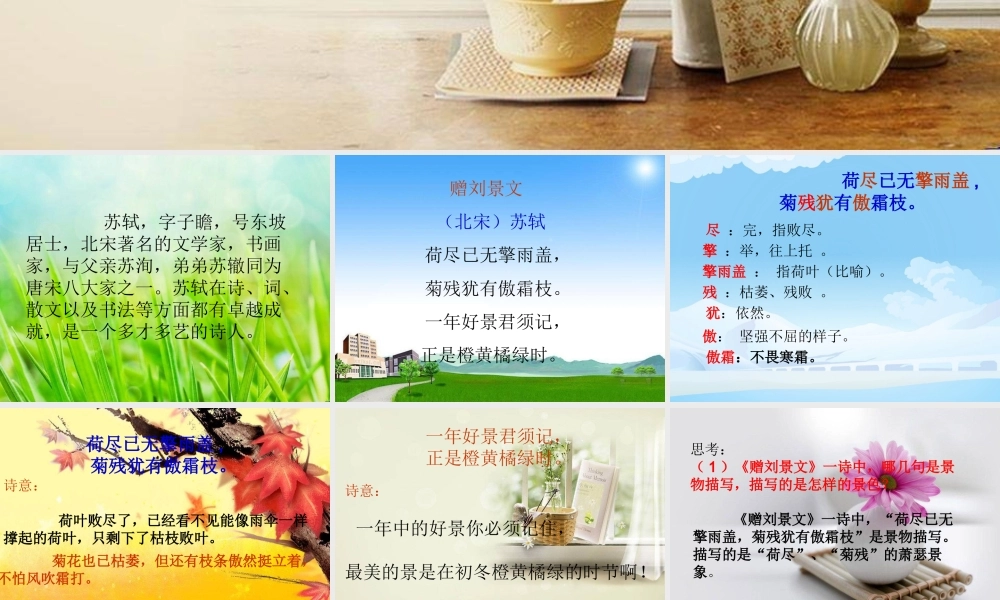 秋三年级语文上册《古诗诵读 赠刘景文》课件2 沪教版-沪教版小学三年级上册语文课件