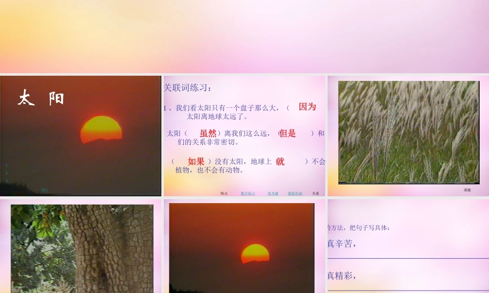 秋一年级语文上册《太阳》课件3 北师大版-北师大版小学一年级上册语文课件