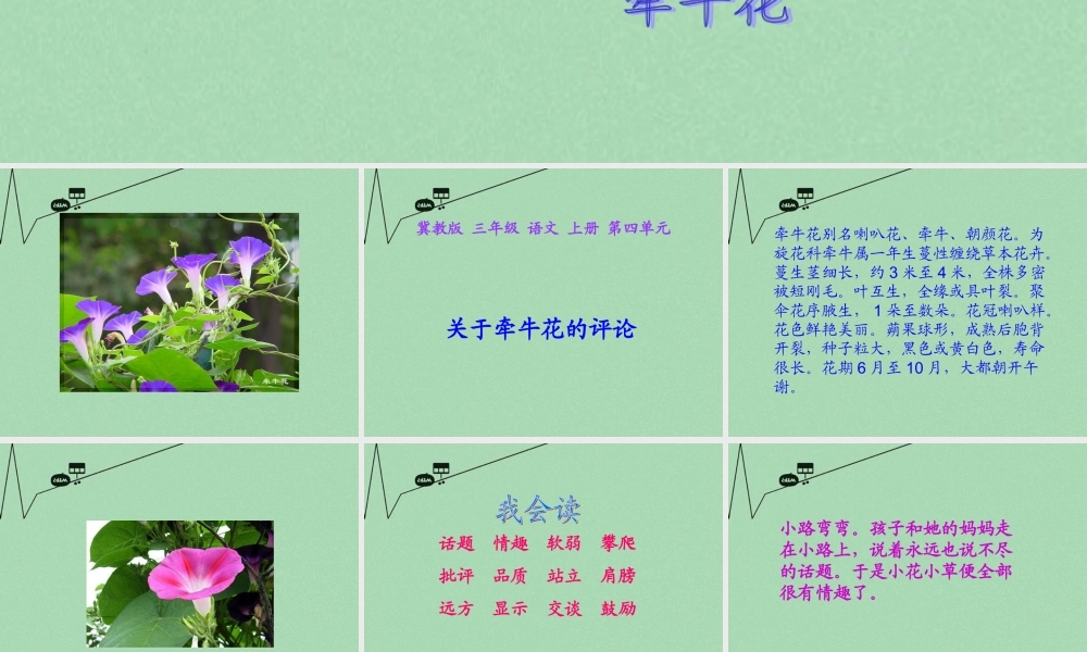 秋三年级语文上册《关于牵牛花的评论》课件1 冀教版-冀教版小学三年级上册语文课件