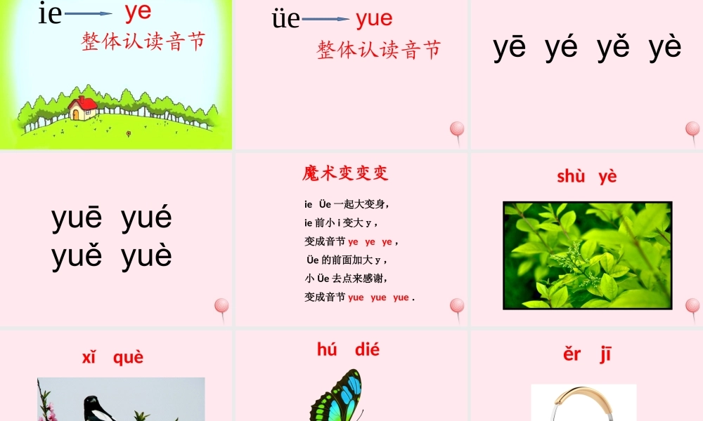 汉语拼音 11《ie üe er》课堂教学课件2