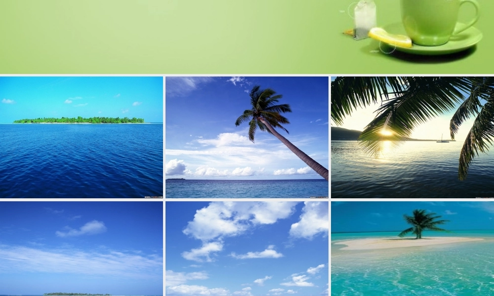 秋三年级语文上册《海底村庄》课件2 北师大版-北师大版小学三年级上册语文课件