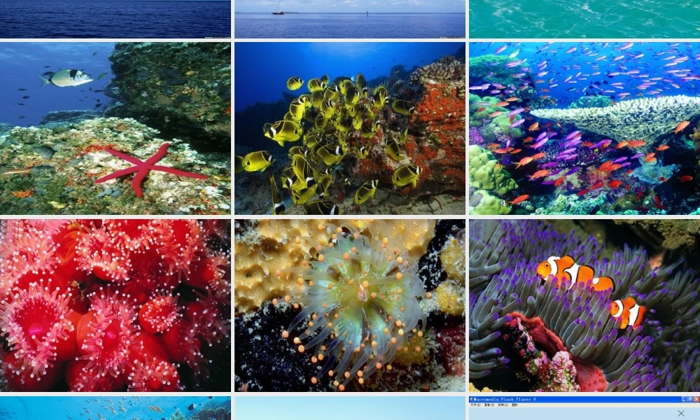 秋三年级语文上册《海底村庄》课件2 北师大版-北师大版小学三年级上册语文课件