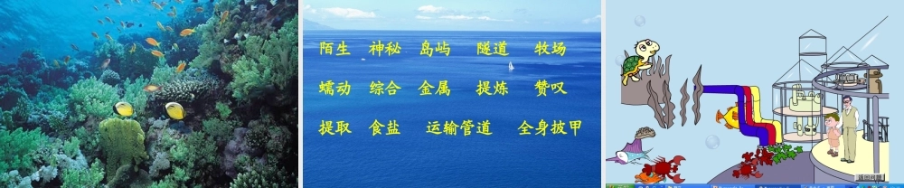 秋三年级语文上册《海底村庄》课件2 北师大版-北师大版小学三年级上册语文课件