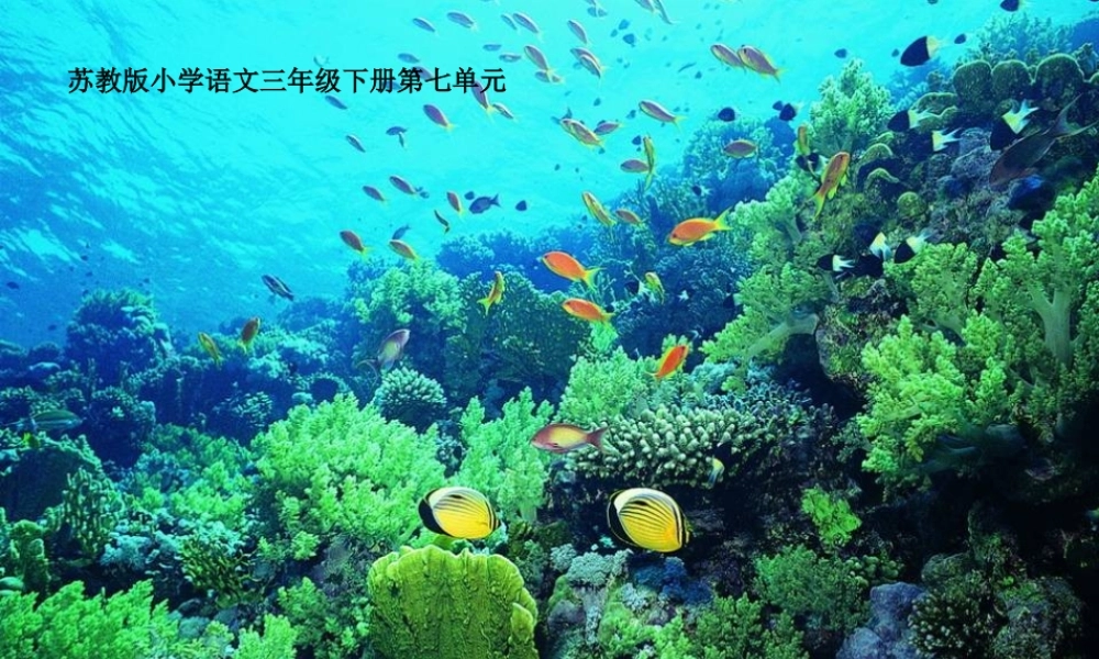 秋三年级语文上册《海底世界》课件1 北师大版-北师大版小学三年级上册语文课件