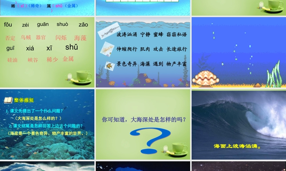 秋三年级语文上册《海底世界》课件1 北师大版-北师大版小学三年级上册语文课件