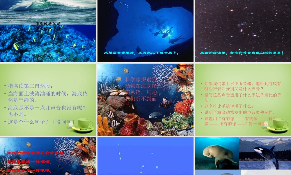 秋三年级语文上册《海底世界》课件1 北师大版-北师大版小学三年级上册语文课件