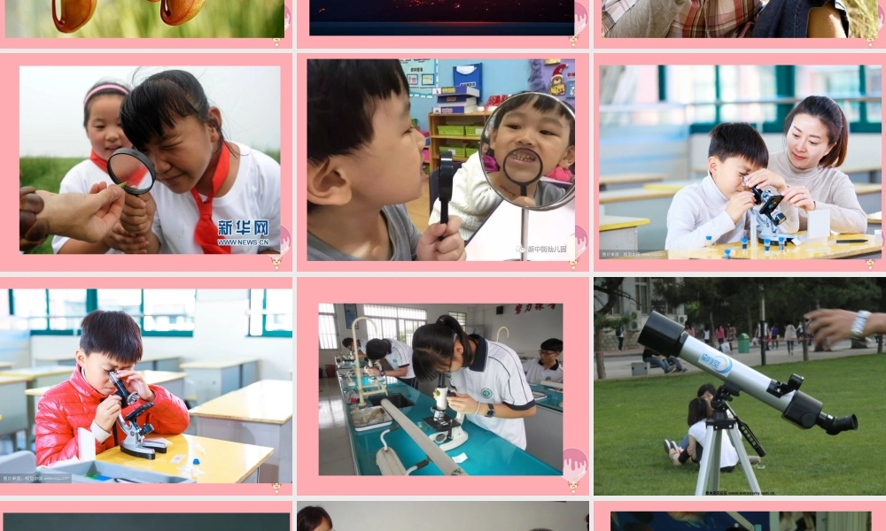 秋一年级科学上册 第1课 走进科学课课件1 青岛版六三制-青岛版小学一年级上册自然科学课件