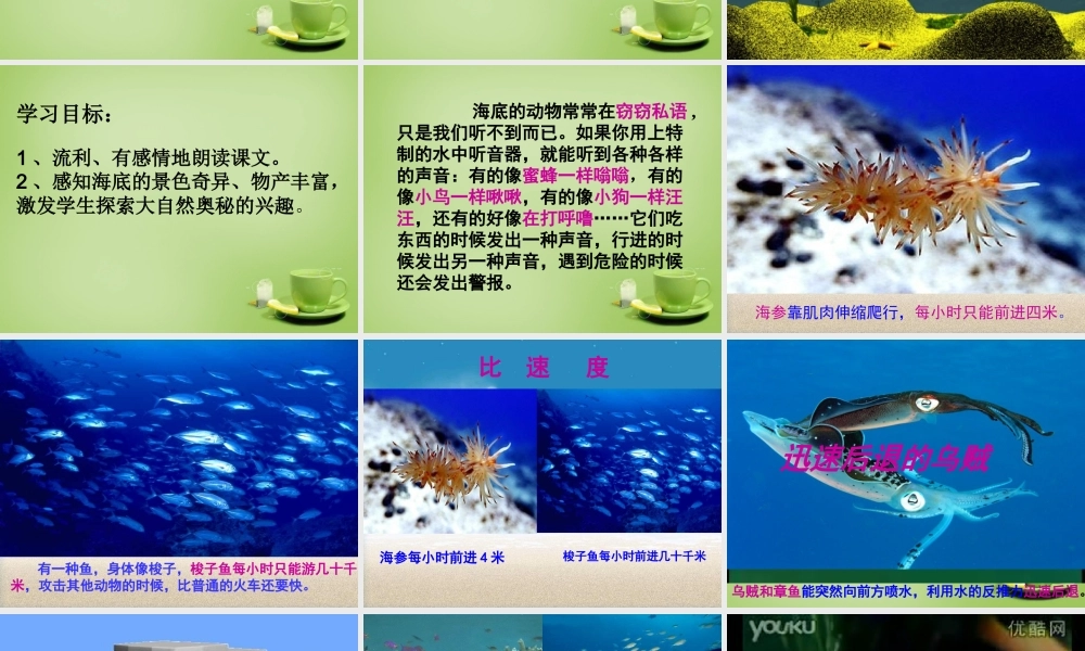 秋三年级语文上册《海底世界》课件2 北师大版-北师大版小学三年级上册语文课件