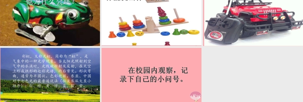秋一年级科学上册 第2课 我的“小问号”课件2 青岛版六三制-青岛版小学一年级上册自然科学课件