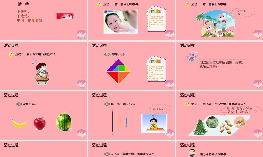 秋一年级科学上册 第3课 看一看课件1 青岛版六三制-青岛版小学一年级上册自然科学课件