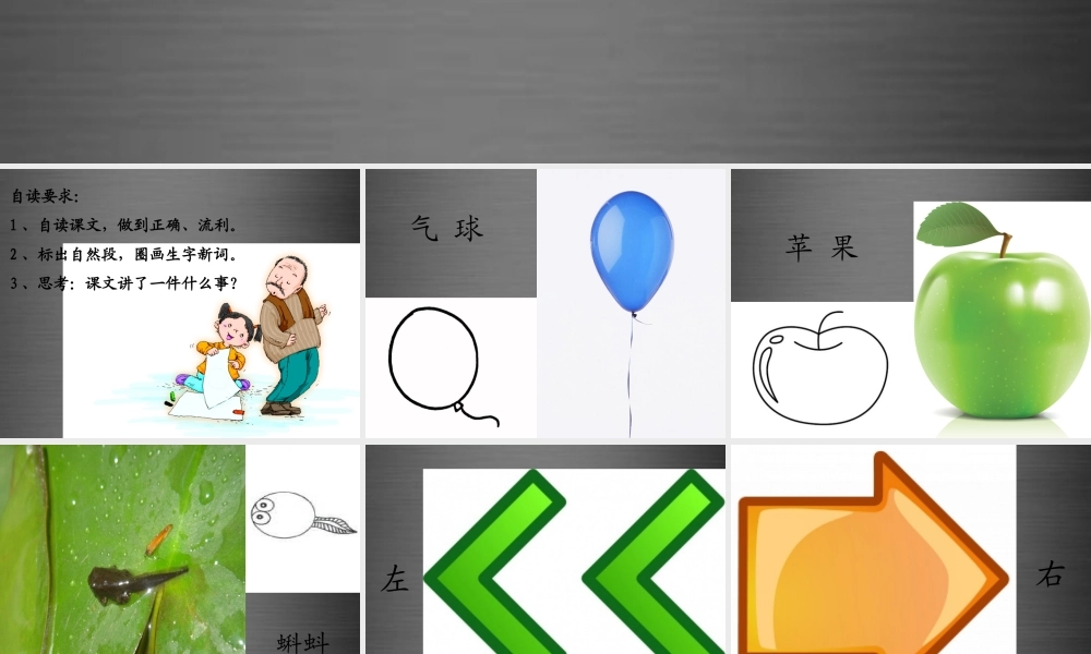 秋一年级语文上册《维维的画儿》课件1 冀教版-冀教版小学一年级上册语文课件