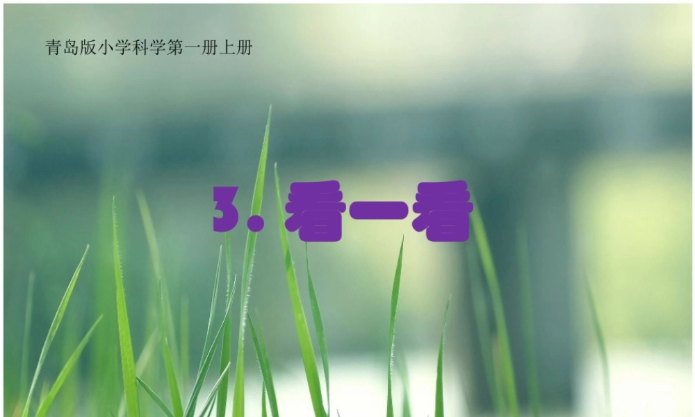 秋一年级科学上册 第3课 看一看课件2 青岛版六三制-青岛版小学一年级上册自然科学课件