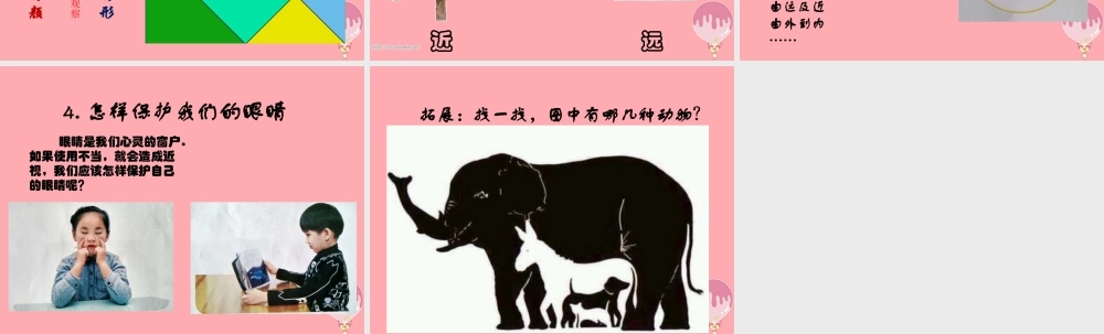 秋一年级科学上册 第3课 看一看课件2 青岛版六三制-青岛版小学一年级上册自然科学课件