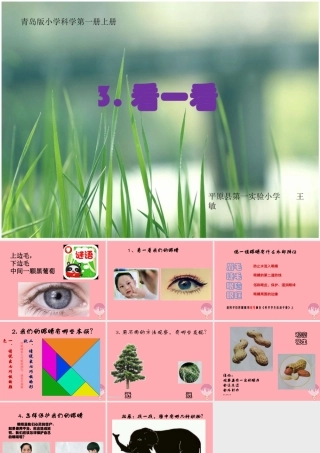 秋一年级科学上册 第3课 看一看课件2 青岛版六三制-青岛版小学一年级上册自然科学课件