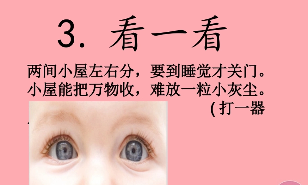 秋一年级科学上册 第3课 看一看课件3 青岛版六三制-青岛版小学一年级上册自然科学课件