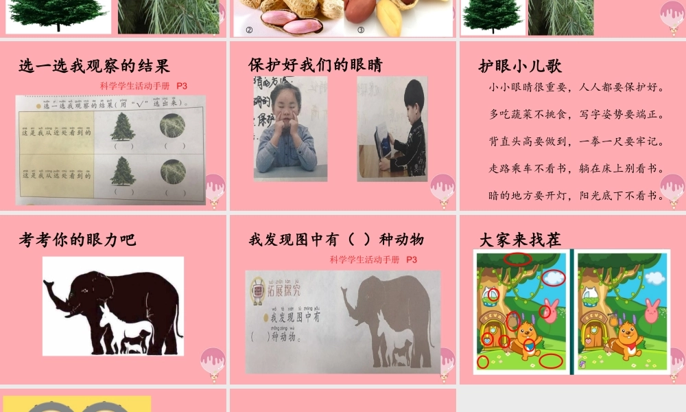 秋一年级科学上册 第3课 看一看课件3 青岛版六三制-青岛版小学一年级上册自然科学课件