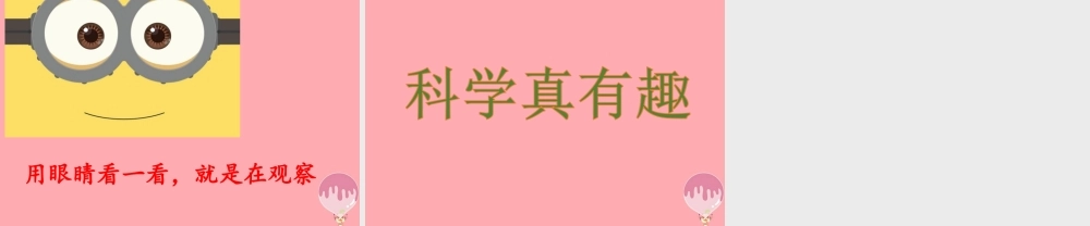 秋一年级科学上册 第3课 看一看课件3 青岛版六三制-青岛版小学一年级上册自然科学课件