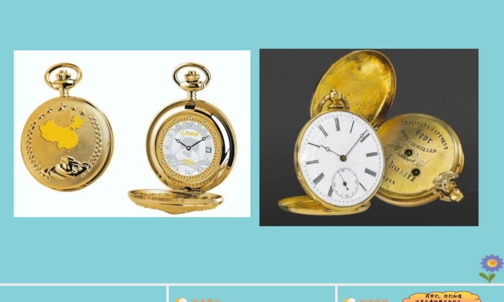 春六年级语文下册 第五单元 15 表里的生物教学课件 新人教版-新人教版小学六年级下册语文课件