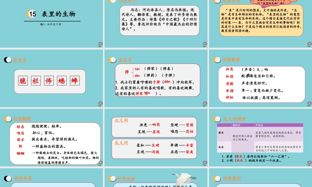 春六年级语文下册 第五单元 15 表里的生物教学课件 新人教版-新人教版小学六年级下册语文课件