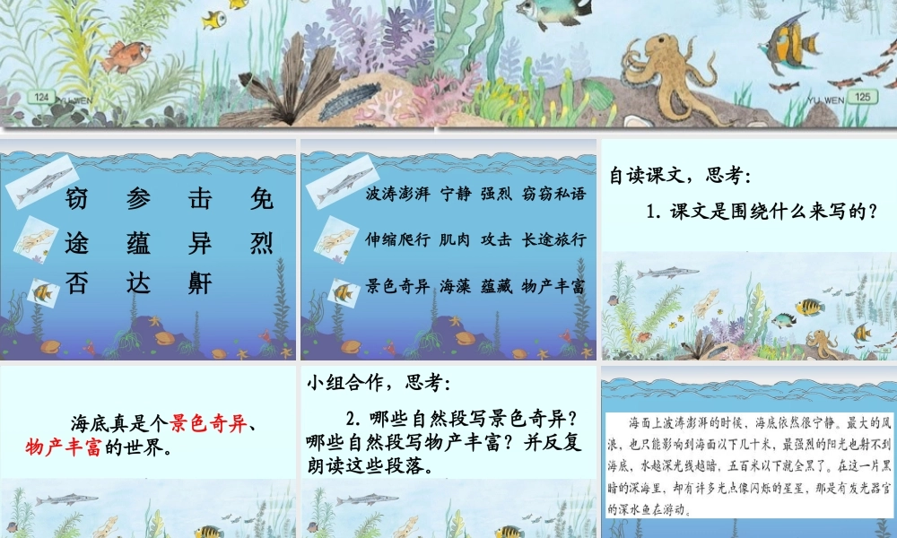 秋三年级语文上册《海底世界》课件2 沪教版-沪教版小学三年级上册语文课件