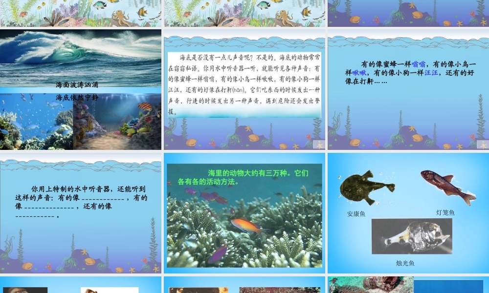 秋三年级语文上册《海底世界》课件2 沪教版-沪教版小学三年级上册语文课件