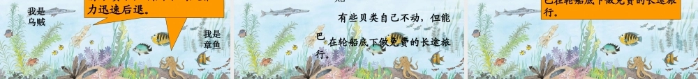 秋三年级语文上册《海底世界》课件2 沪教版-沪教版小学三年级上册语文课件