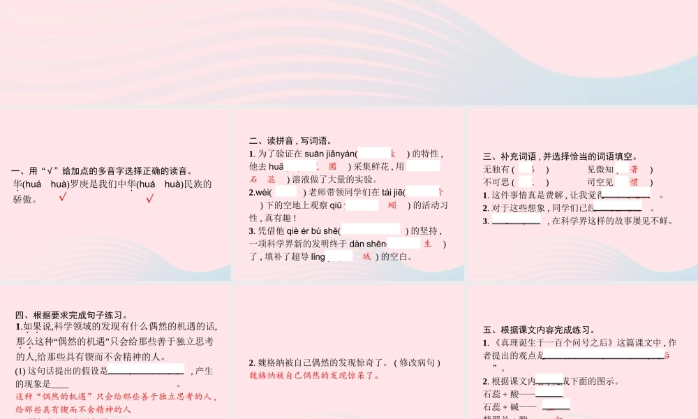 春六年级语文下册 第五单元 15 真理诞生于一百个问号之后习题课件 新人教版-新人教版小学六年级下册语文课件