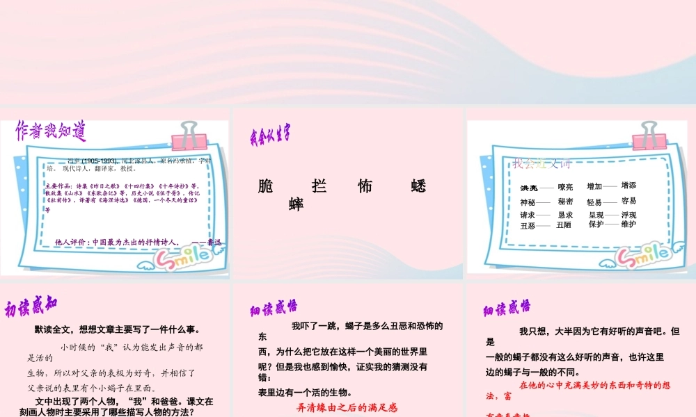 春六年级语文下册 第五单元 15表里的生物课件 新人教版-新人教版小学六年级下册语文课件