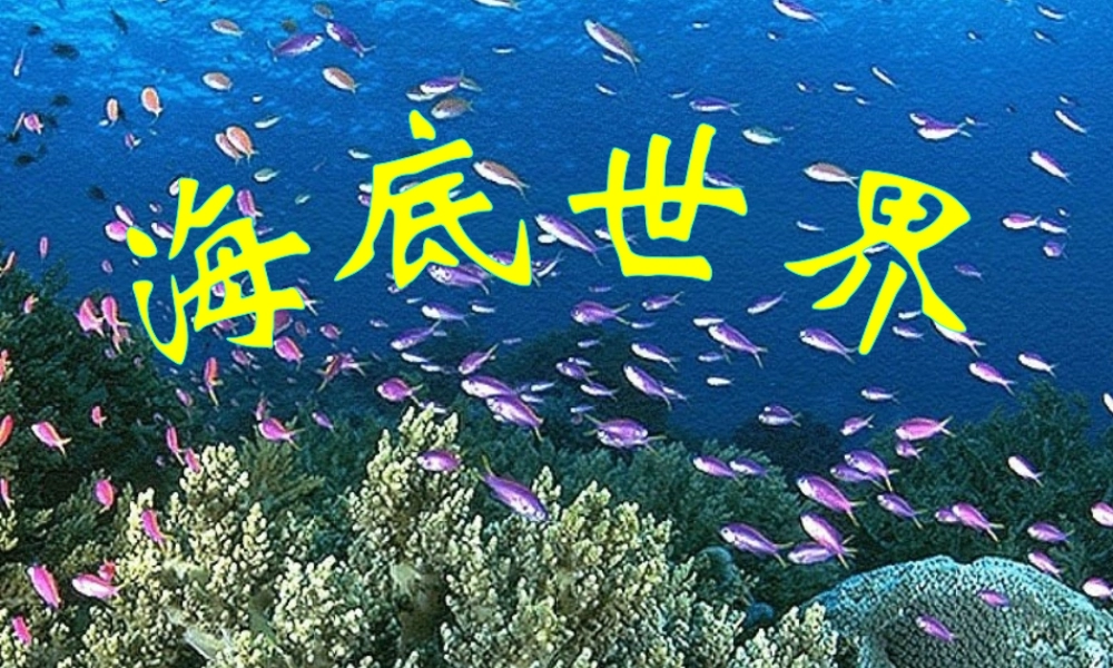 秋三年级语文上册《海底世界》课件3 北师大版-北师大版小学三年级上册语文课件