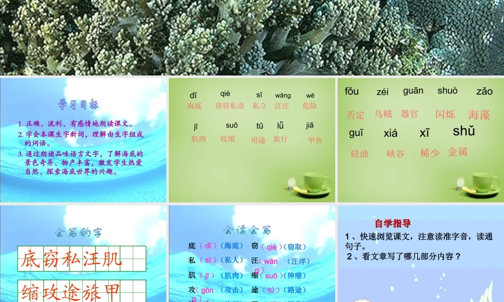 秋三年级语文上册《海底世界》课件3 北师大版-北师大版小学三年级上册语文课件