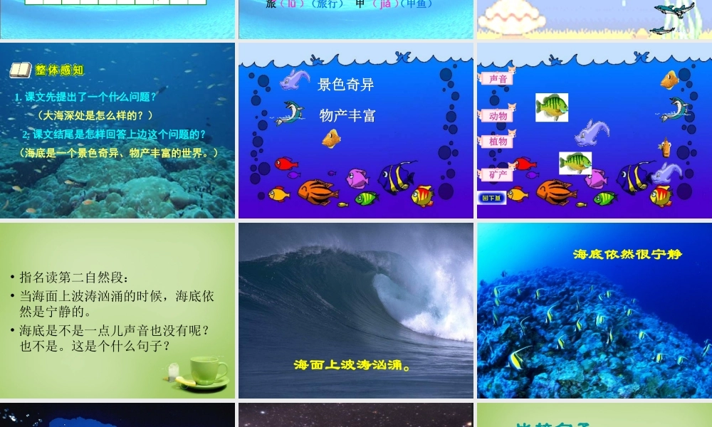 秋三年级语文上册《海底世界》课件3 北师大版-北师大版小学三年级上册语文课件