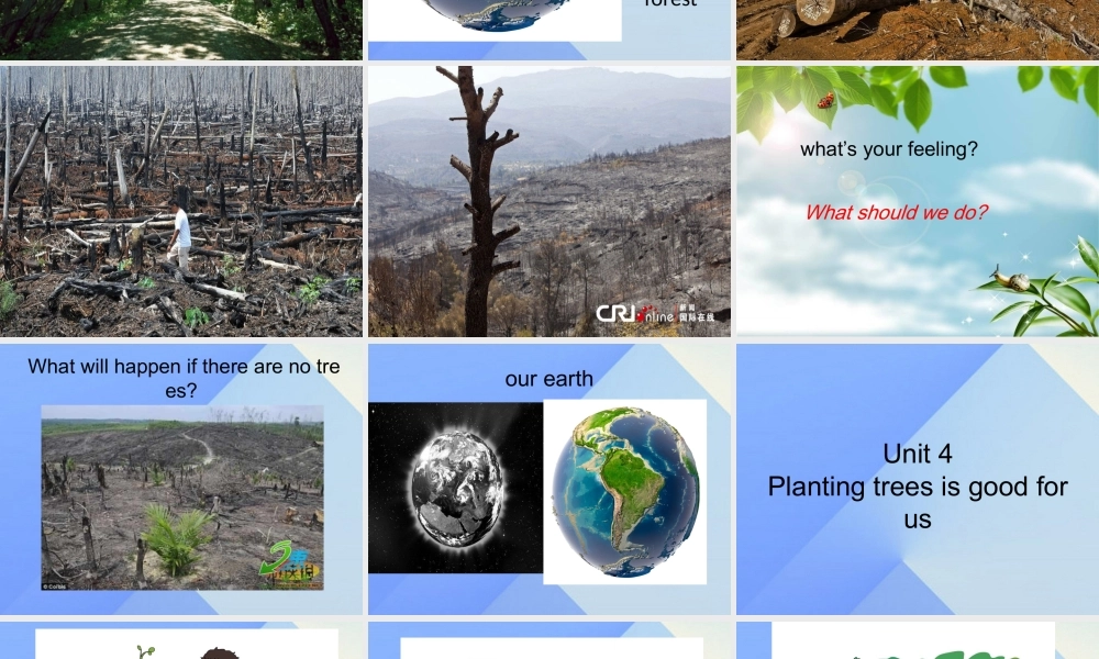 春六年级英语下册 Unit 4《Planting trees is good for us》课件1 （新版）湘少版-湘少版小学六年级下册英语课件