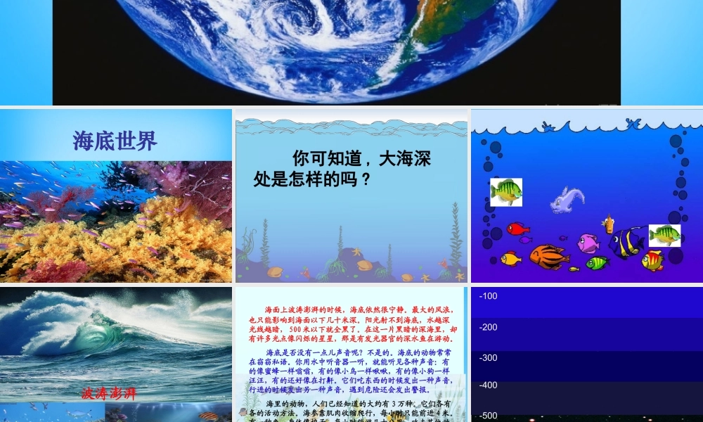 秋三年级语文上册《海底世界》课件3 沪教版-沪教版小学三年级上册语文课件